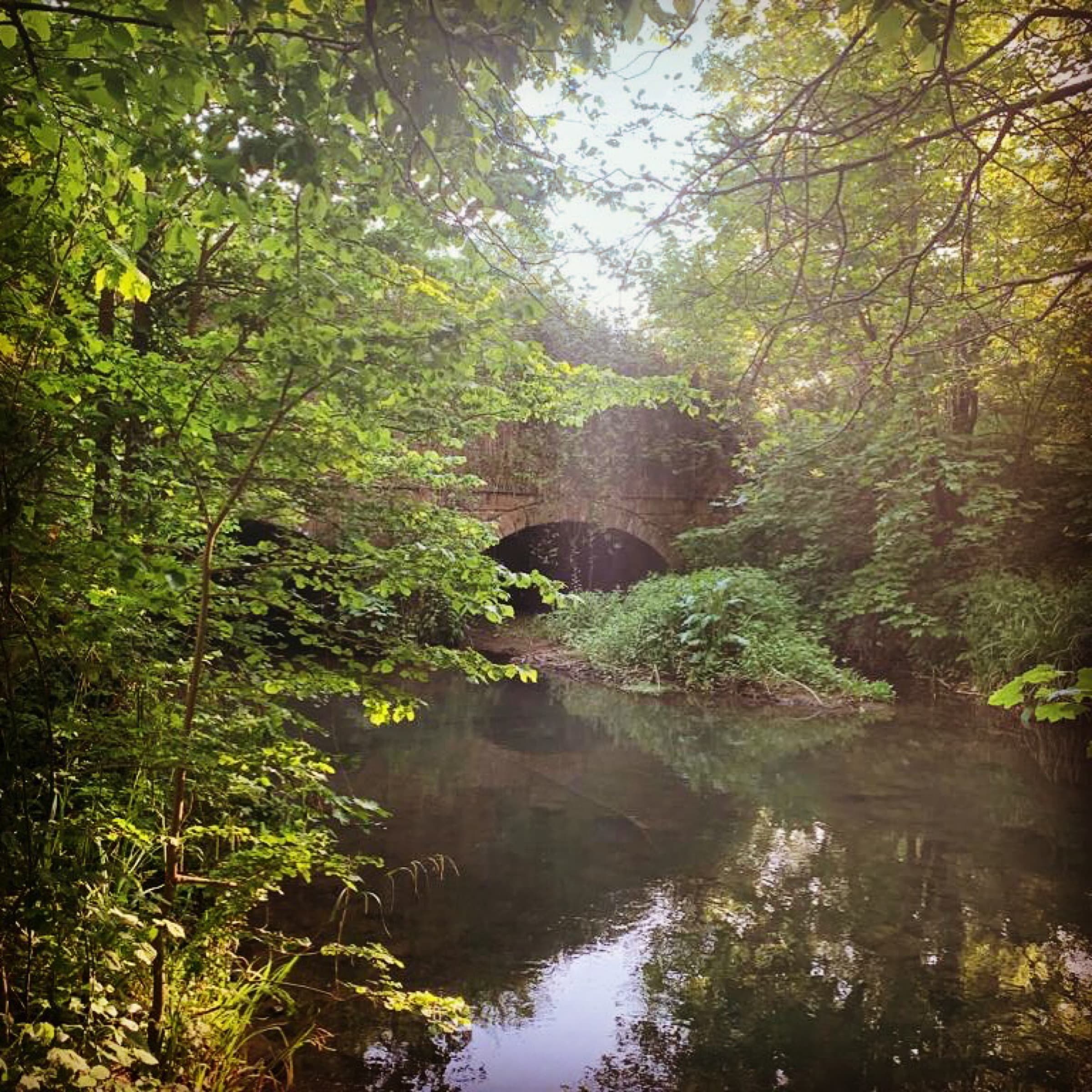 The River Mells at the edge of the Somerleaze estate