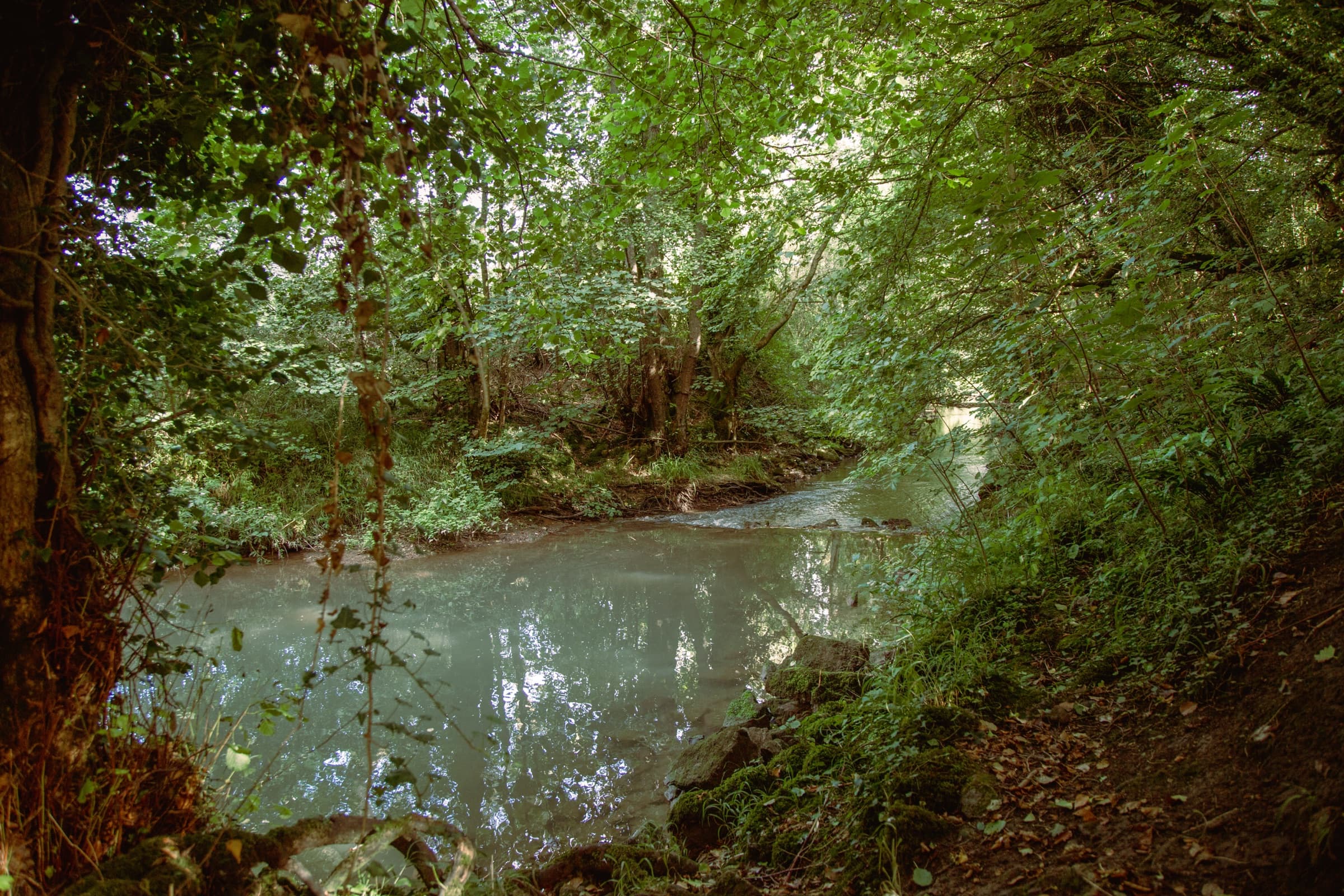 The river path between Somerleaze and Mells
